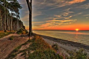 Germany, Nienhagen, coast, ghost forest, Baltic Sea, sunset Germany, Nienhagen, coast, ghost forest, Baltic Sea, sunset